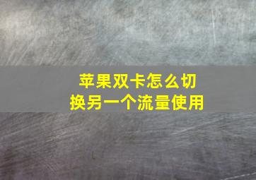 苹果双卡怎么切换另一个流量使用