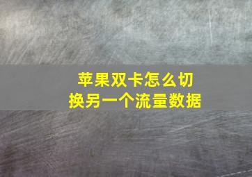 苹果双卡怎么切换另一个流量数据