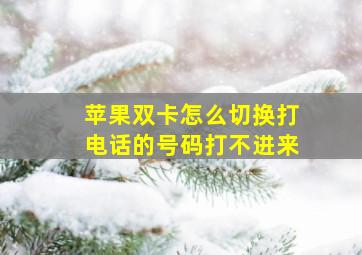 苹果双卡怎么切换打电话的号码打不进来