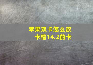 苹果双卡怎么放卡槽14.2的卡