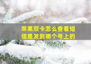 苹果双卡怎么查看短信是发到哪个号上的