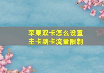 苹果双卡怎么设置主卡副卡流量限制