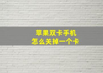 苹果双卡手机怎么关掉一个卡