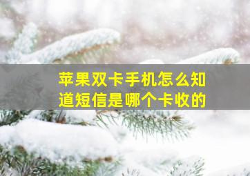 苹果双卡手机怎么知道短信是哪个卡收的