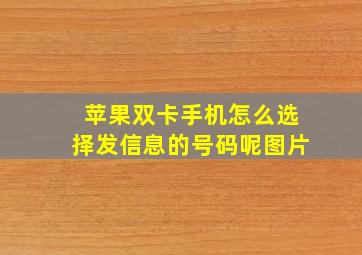 苹果双卡手机怎么选择发信息的号码呢图片