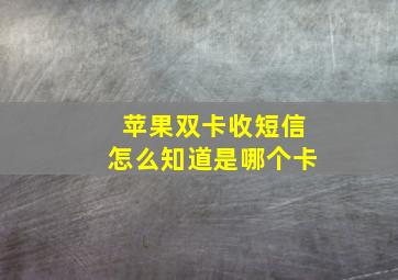 苹果双卡收短信怎么知道是哪个卡