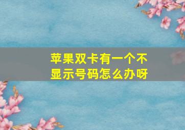 苹果双卡有一个不显示号码怎么办呀