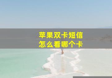 苹果双卡短信怎么看哪个卡