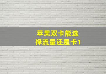 苹果双卡能选择流量还是卡1