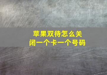 苹果双待怎么关闭一个卡一个号码