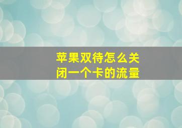 苹果双待怎么关闭一个卡的流量