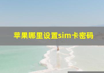 苹果哪里设置sim卡密码