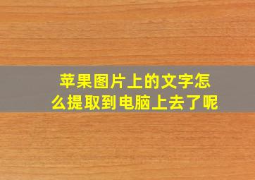 苹果图片上的文字怎么提取到电脑上去了呢