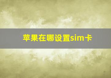 苹果在哪设置sim卡