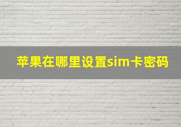 苹果在哪里设置sim卡密码