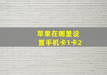 苹果在哪里设置手机卡1卡2