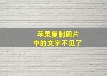 苹果复制图片中的文字不见了