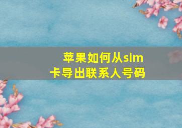 苹果如何从sim卡导出联系人号码