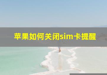 苹果如何关闭sim卡提醒