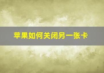 苹果如何关闭另一张卡