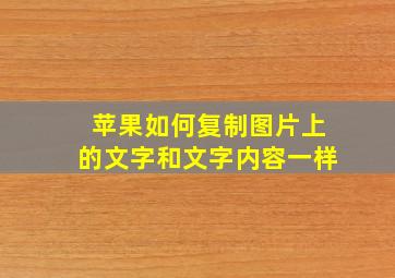 苹果如何复制图片上的文字和文字内容一样