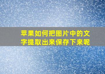 苹果如何把图片中的文字提取出来保存下来呢