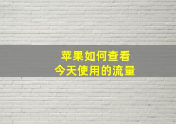 苹果如何查看今天使用的流量