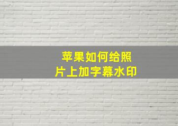 苹果如何给照片上加字幕水印