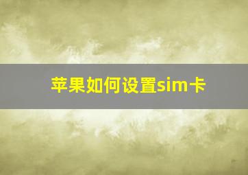 苹果如何设置sim卡