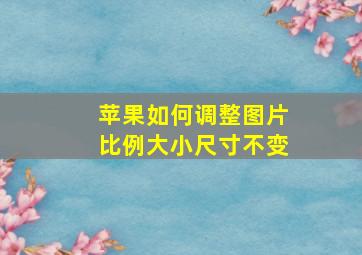 苹果如何调整图片比例大小尺寸不变