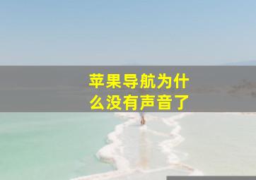 苹果导航为什么没有声音了