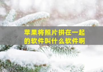 苹果将照片拼在一起的软件叫什么软件啊