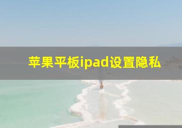 苹果平板ipad设置隐私