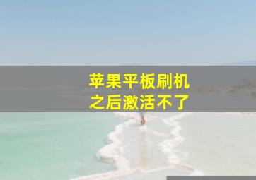 苹果平板刷机之后激活不了