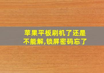 苹果平板刷机了还是不能解,锁屏密码忘了