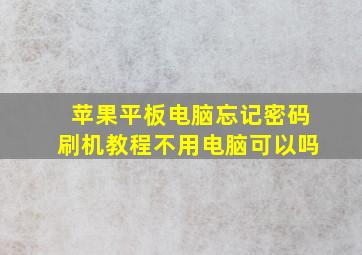 苹果平板电脑忘记密码刷机教程不用电脑可以吗