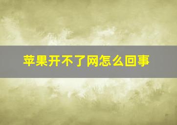 苹果开不了网怎么回事