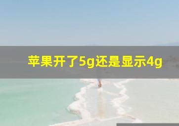 苹果开了5g还是显示4g