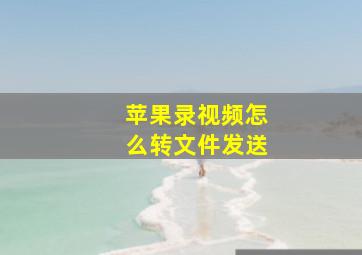 苹果录视频怎么转文件发送