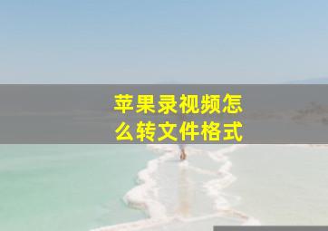 苹果录视频怎么转文件格式