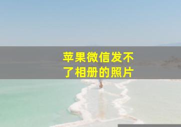 苹果微信发不了相册的照片