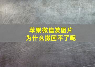 苹果微信发图片为什么撤回不了呢