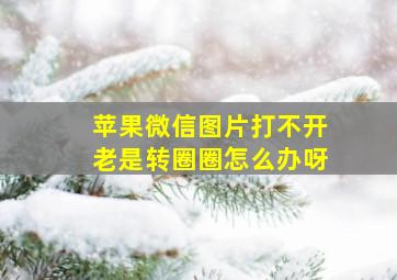 苹果微信图片打不开老是转圈圈怎么办呀