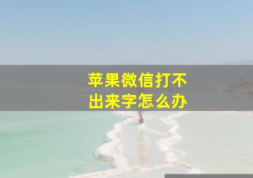 苹果微信打不出来字怎么办