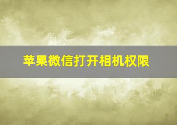 苹果微信打开相机权限