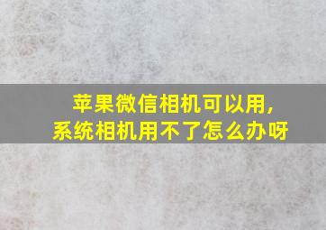 苹果微信相机可以用,系统相机用不了怎么办呀