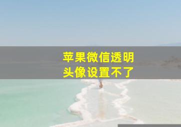 苹果微信透明头像设置不了