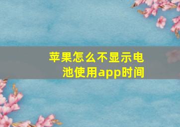 苹果怎么不显示电池使用app时间