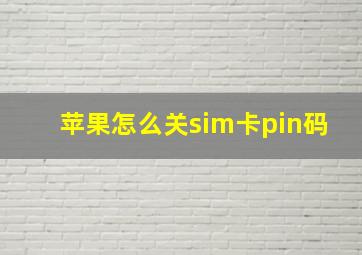 苹果怎么关sim卡pin码