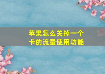 苹果怎么关掉一个卡的流量使用功能